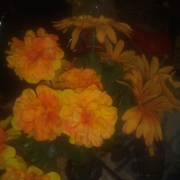 Meet your Posher, Joyce - Picture 1 of 5